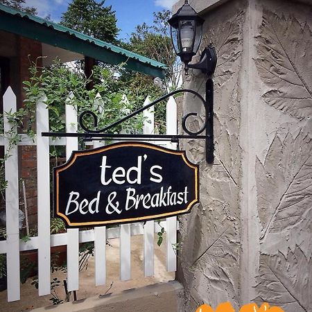Ted'S Bed And Breakfast Santa Cruz  Екстер'єр фото